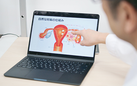不妊症と不妊治療について